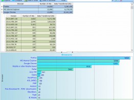 Hierarchical reports