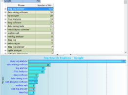 Referrals and Search Engines